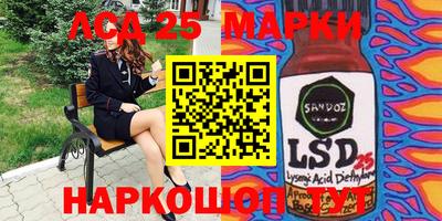 spice Новодвинск