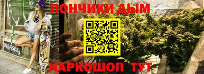 spice Новодвинск