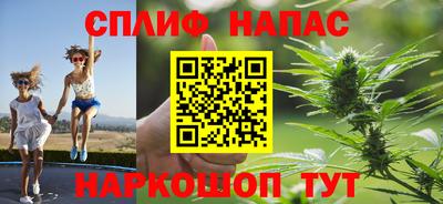 spice Новодвинск