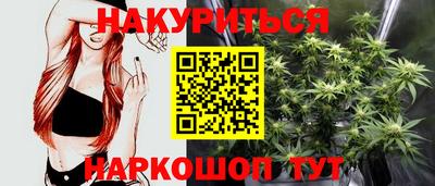 spice Новодвинск