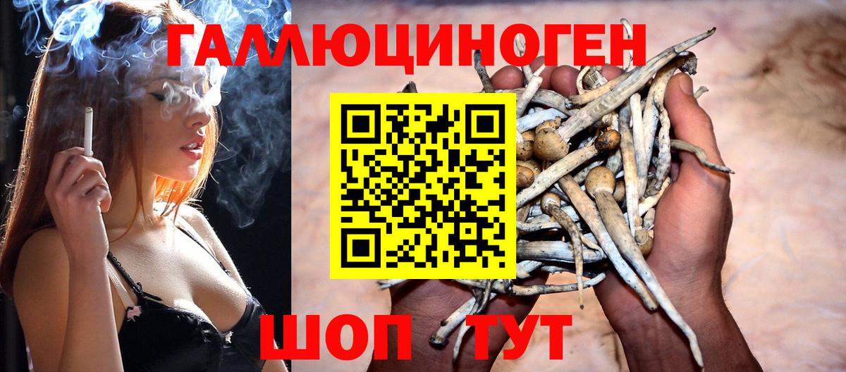 Тихвин  где можно купить наркотик  Галлюциногенные грибы Cubensis  Вход с VPN  Псилоцибиновые грибы мицелий 